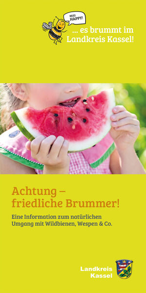 Flyer "Achtung - friedliche Brummer"